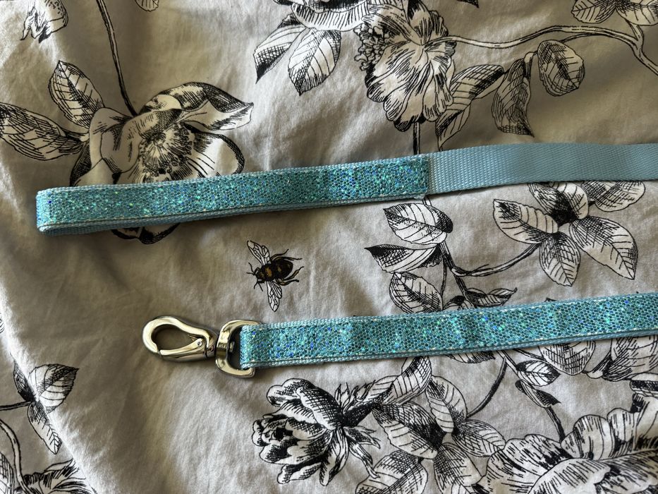 Поводок и ошейник