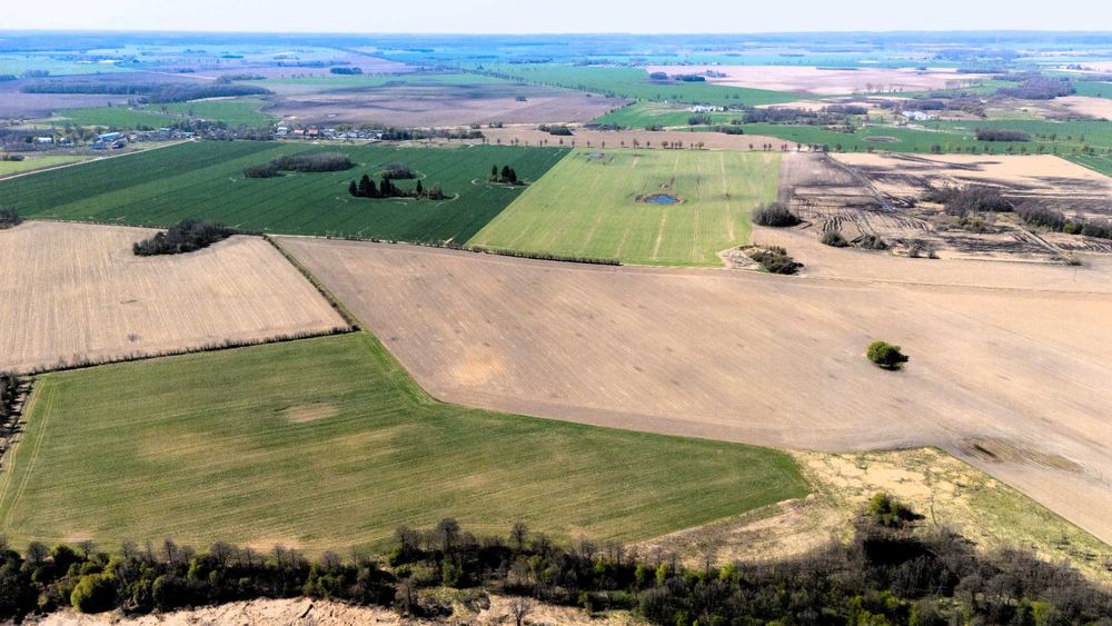 Działka 3000 m² z MPZP | Siedlisko | Możliwość budowy domu z poddaszem | Gołębiewo - View 5