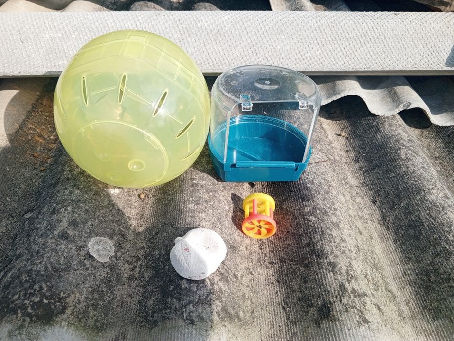 Аксесуари для хомяків