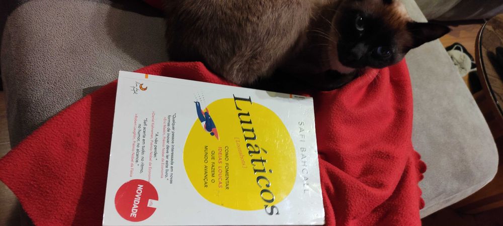 Lunáticos (Loonshots) de Safi Bahcall