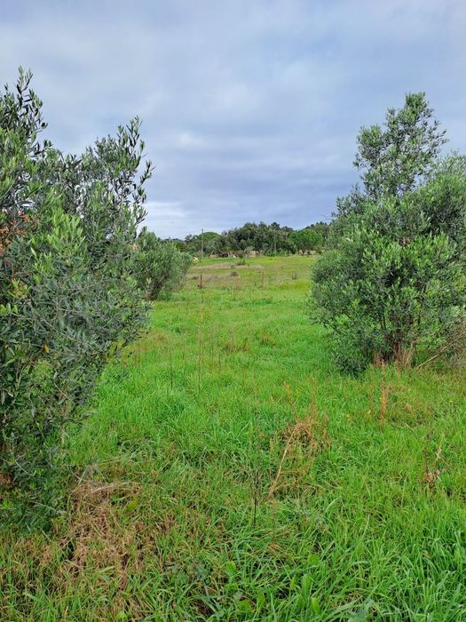Quinta em Vale Seco  com projecto aprovado