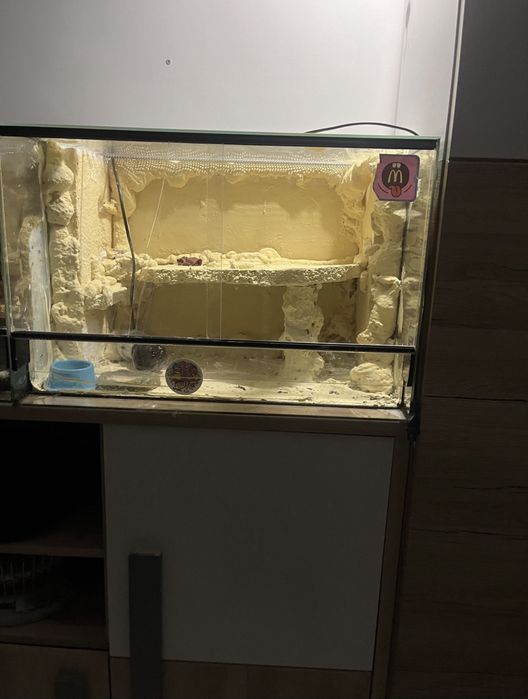 Terrarium dla gekona lamparciego