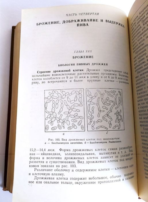 ПИВА Технология Солода и Пива пивное дело пивоварение пивоварные