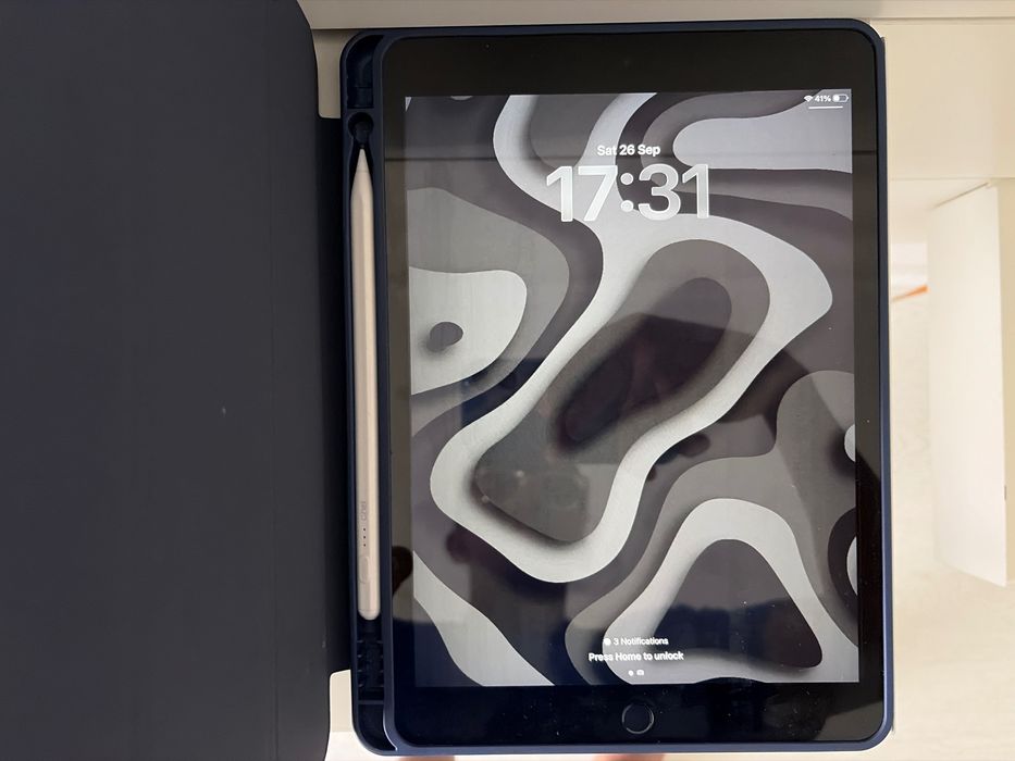 Lap + ipad + monitor + pericericos