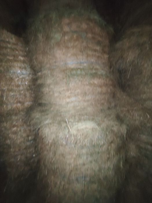 Fardos de palha e rolos de feno