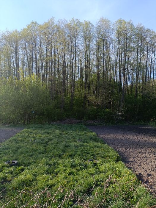 Двоповерховий дачний будинок