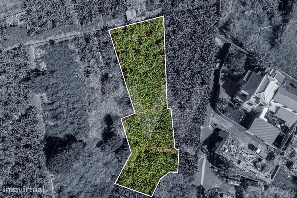 Terreno Urbanizável - 850m2 - São Martinho | Funchal