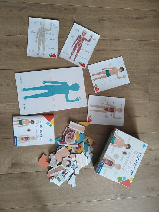 Montessori human body - ciało człowieka puzzle Clementoni  w języku angielskim