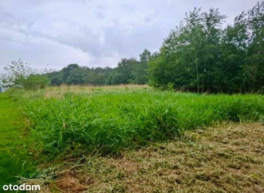 Atrakcyjna działka 14,8 ar – Pisarzowice, ul. Krakowska - Widok 4