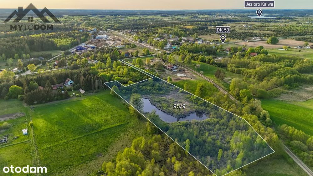 Działka 2.46h ze stawem w otoczeniu lasów i jezior - Widok 2