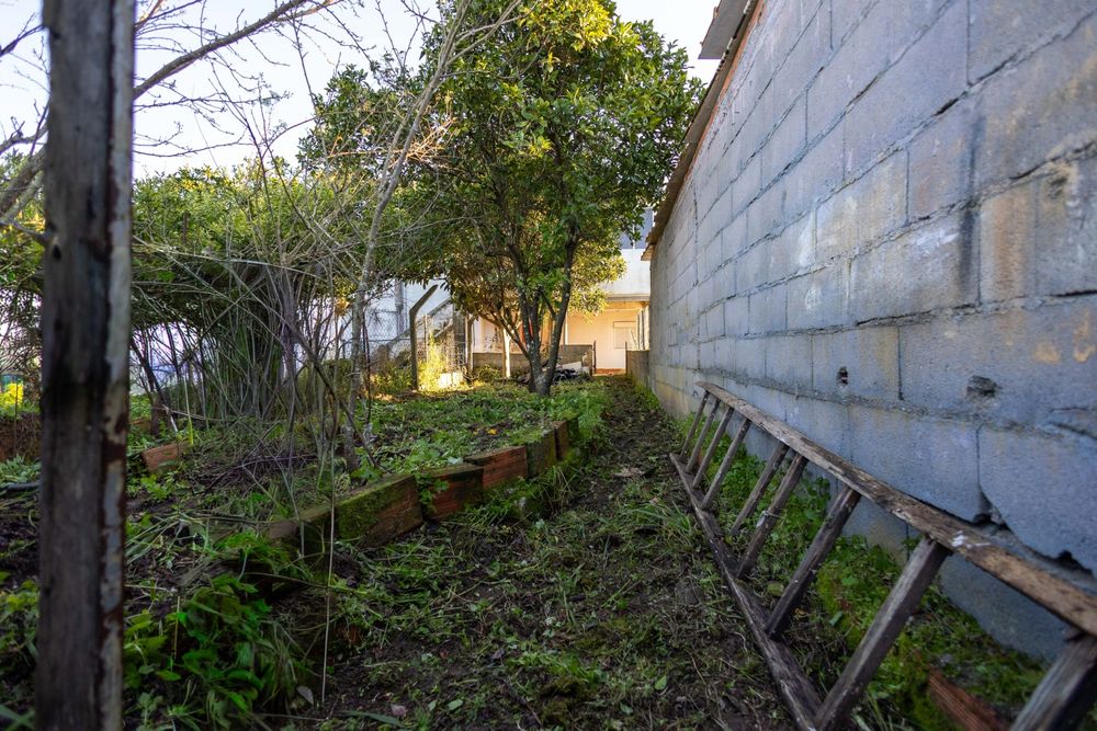 Arrendo casa com 3 quartos, quintal, arrecadação.