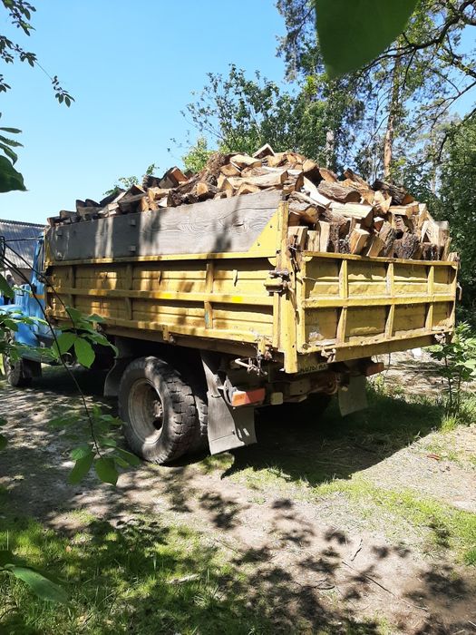 Дрова твердолистяних та хвойних порід