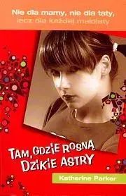 Tam Gdzie Rosną Dzikie Astry. Elf