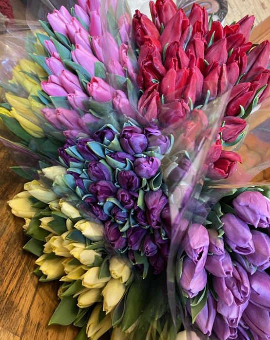 Цибулини тюльпанів на кг