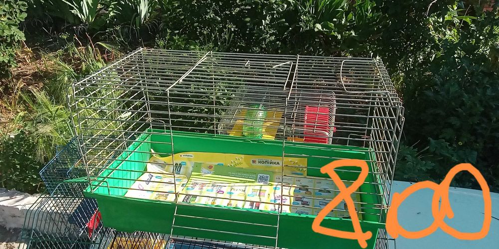 Б.у. клкткиЦЕНЫНАФОТО!!!