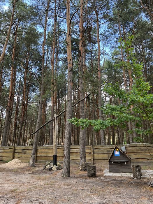 Відпочинок біля озера, село Любохини, подобово/помісячно