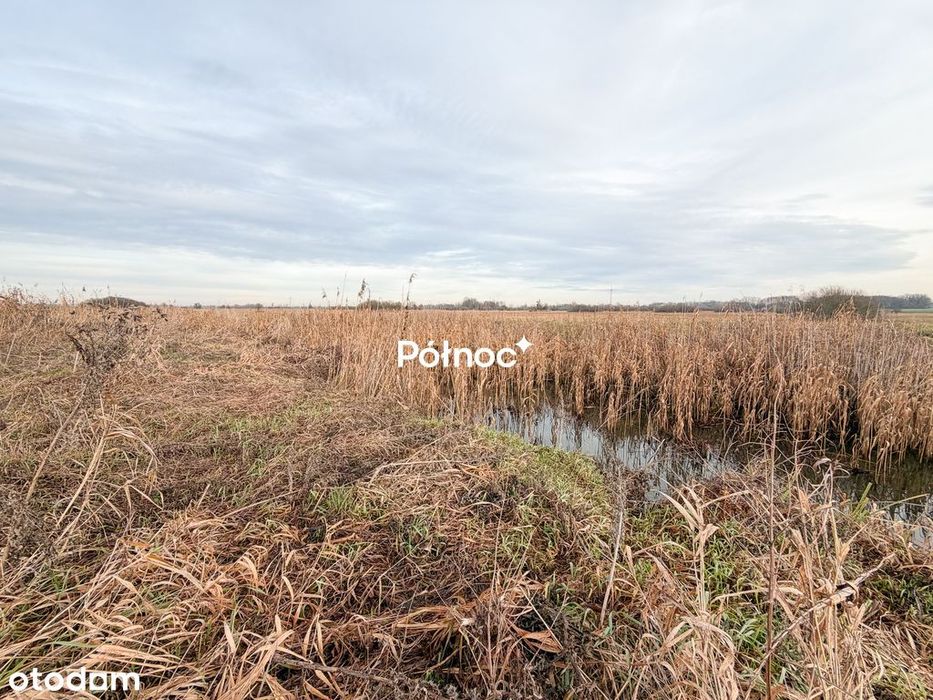 Działka rolna 0,84 ha Turka, gmina Dorohusk