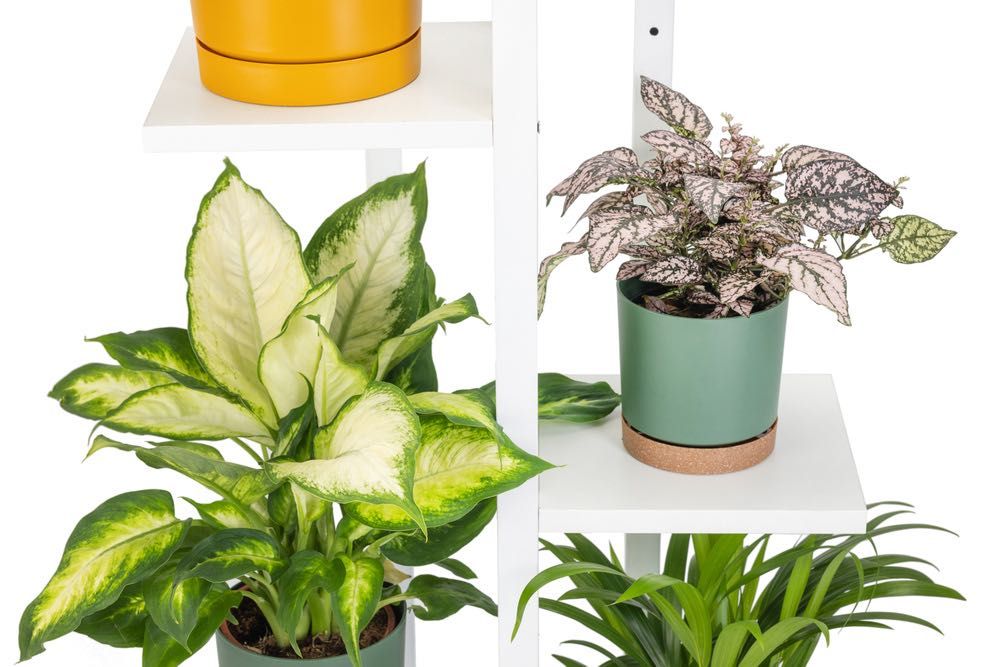 Kwietnik Stojący Metalowy 5 Poziomów Biały Loft Nowoczesny Villago