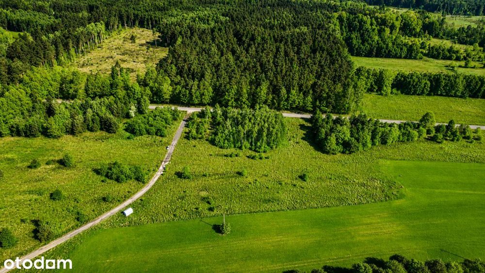 Działka budowlana 2660 m² przy lesie | Mpzp | Med – pohled 4