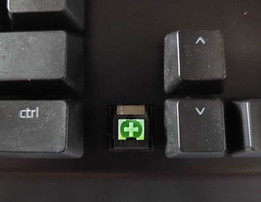Razer Blackwidow Elite Keyboard – Portuguese Layout64738940086913123