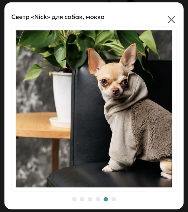 плюшевий светр або комбінезон для собак бренду Pet Fashion XL