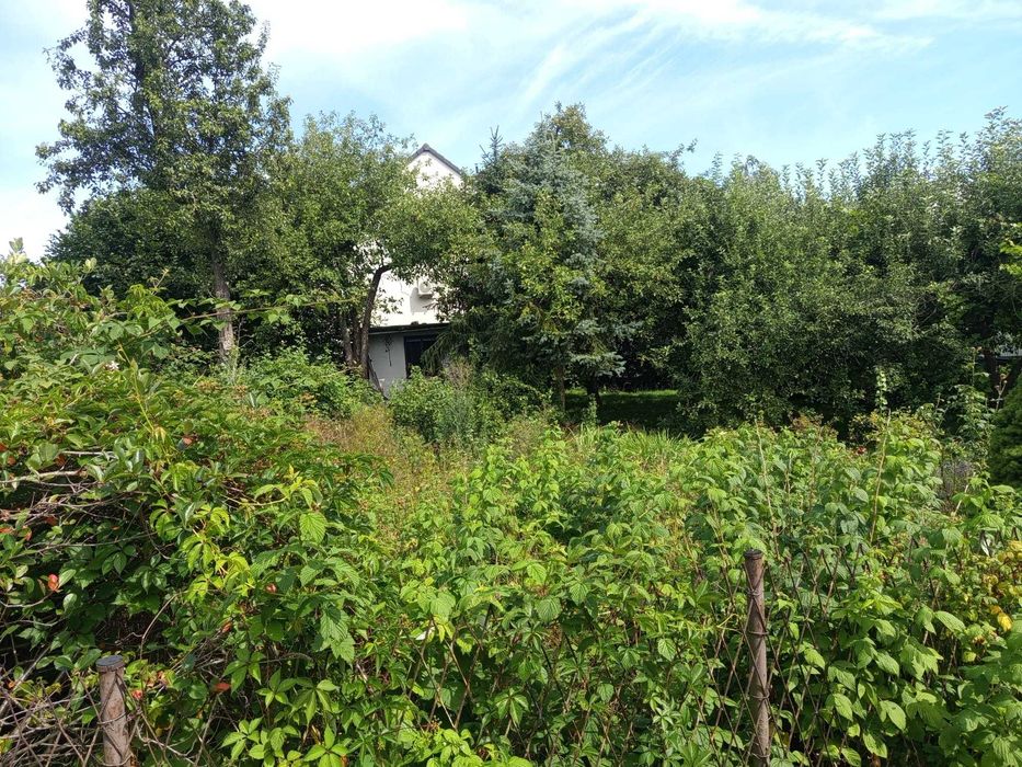 Ogródek działkowy