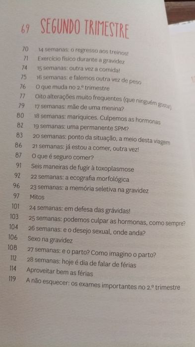 Livro "Dias de uma Princesa Grávida"
