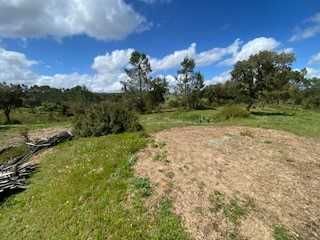 Aceitamos cavalos a pasto