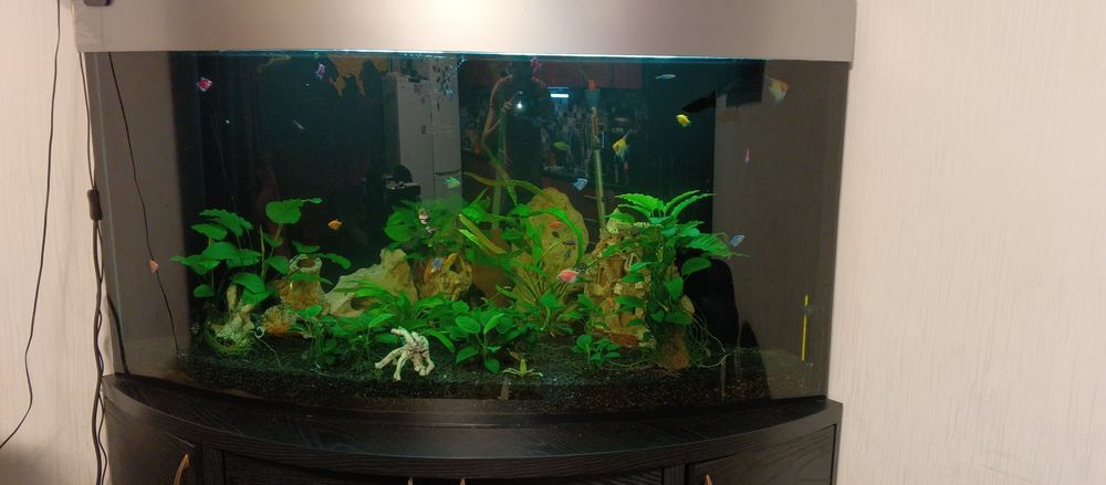 Акваріум 500 літрів