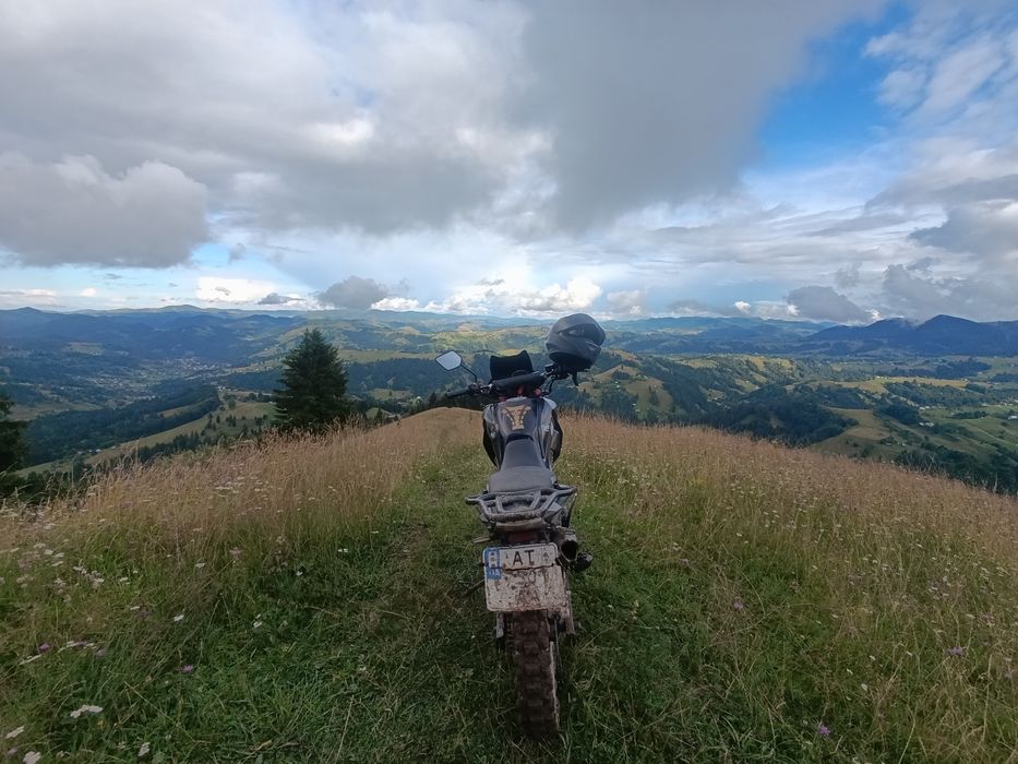 SH/NERAY x–trail 250 yrophy
