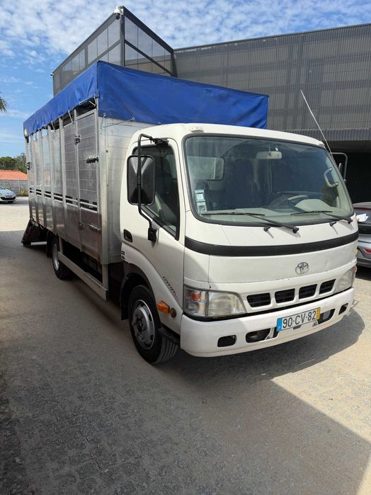Toyota dyna transporte de animais vivos