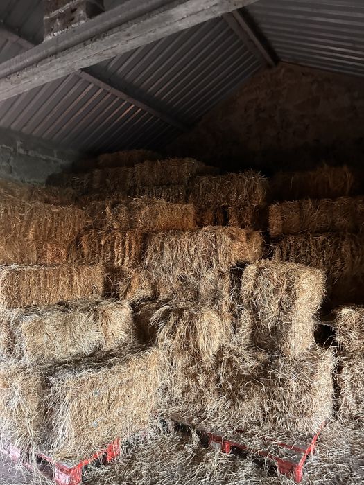 Vendo Palha/Feno
