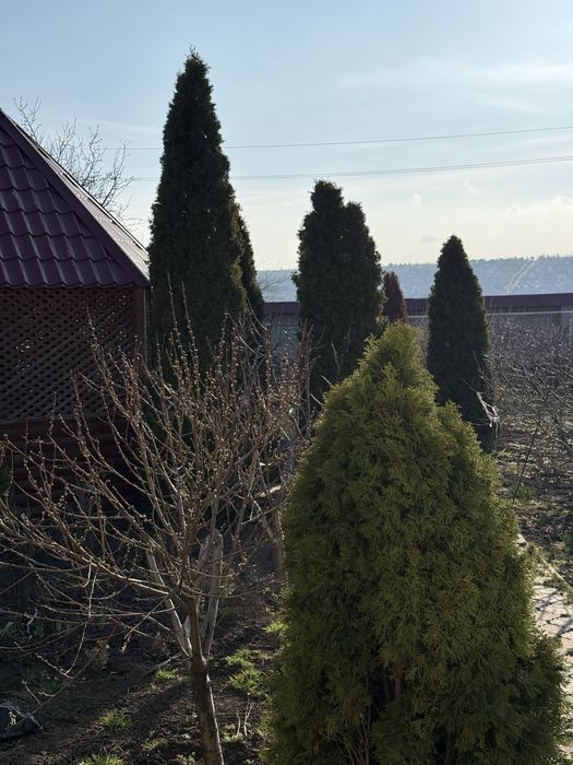 Продам Дом-дачу с выходом к Хаджибеевскому лиману