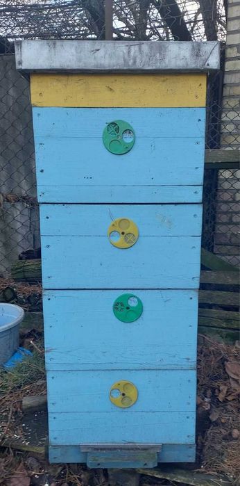 Вулик Рута  ( комплект з рамками)