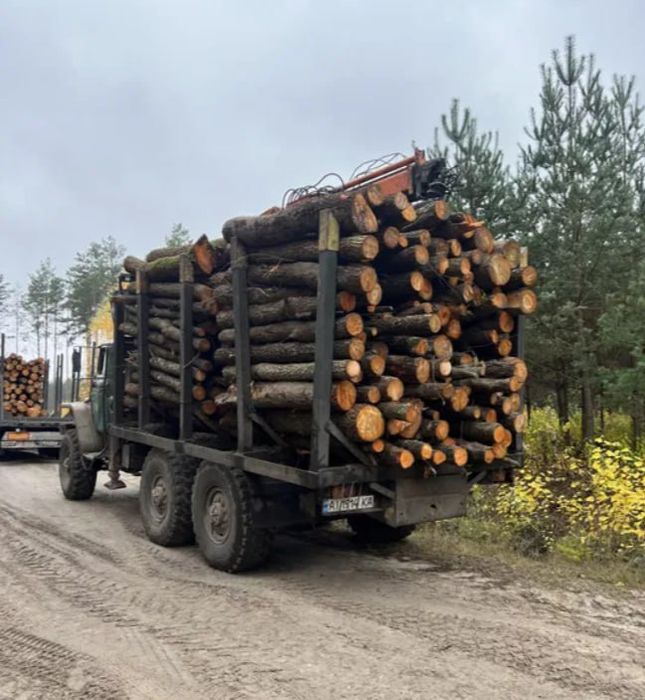 Дрова ОПТОМ та в роздріб Тверді породи Сезонні знижки.  10/18 м3