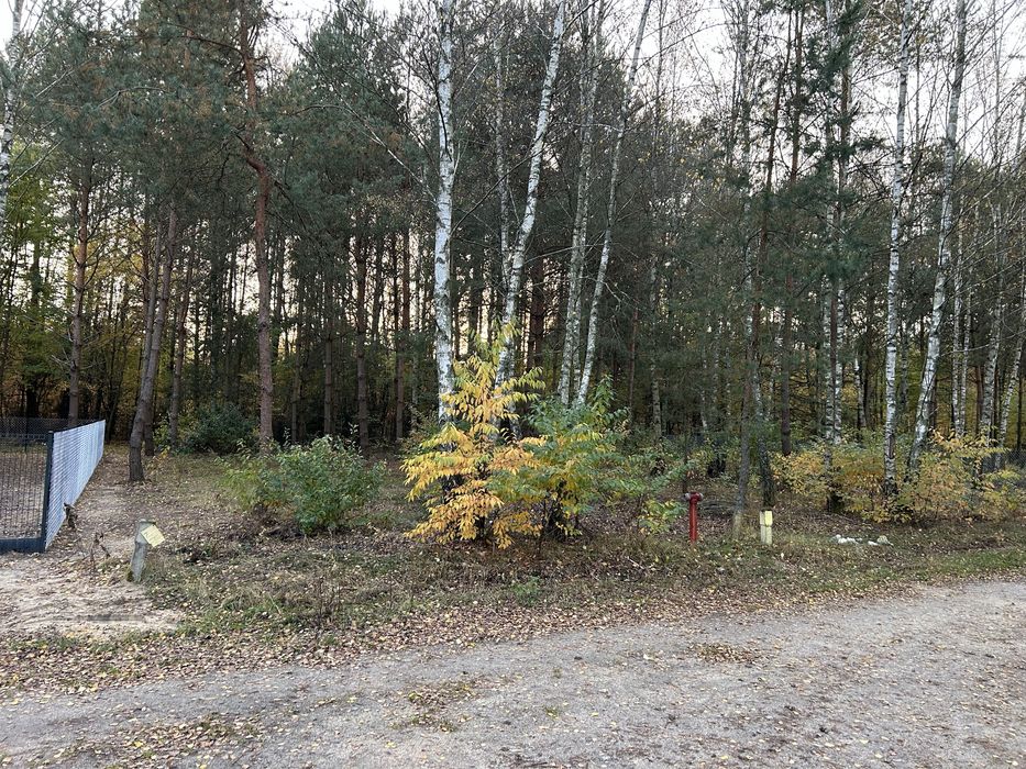 Dzialka Orchówek jezioro Glinki/Okuninka vat 23%