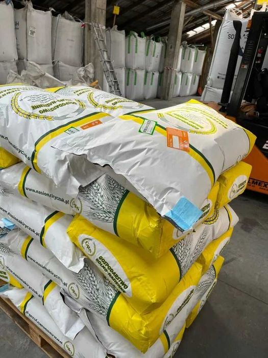 Materiał Siewny Kwalifikowany Zbóż Jarych-Zaprawiony Wiosna 2026