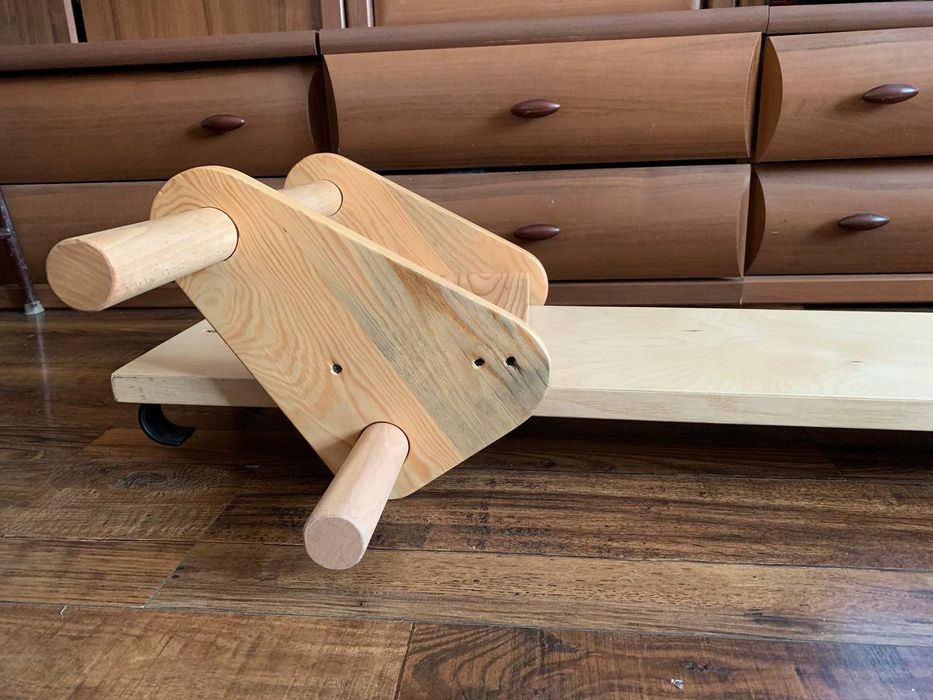 Дошка Євмінова  профілактор