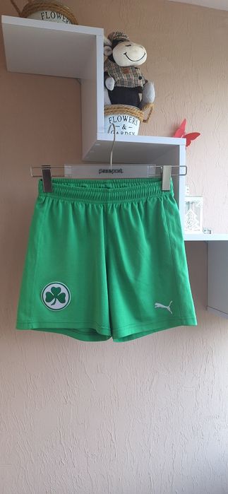 Детские шорты puma