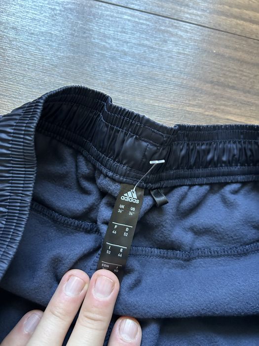 Чоловічі спортивні штани Adidas terrex