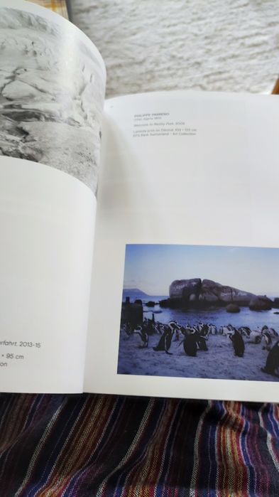 In the time of Ecological Disruption -IACCCA