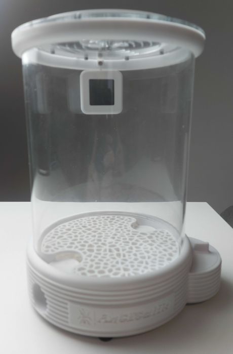 Формікарій для мурах листорізів. Муравьиная ферма для листорезов