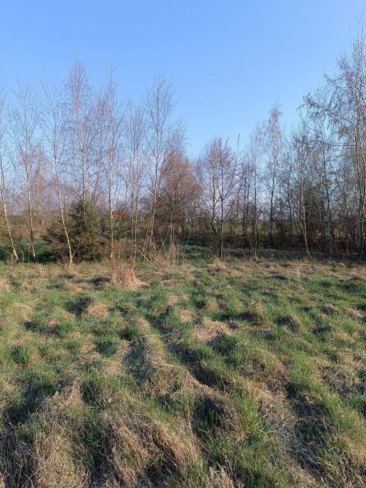 Działka budowlana Kaźmierz - Widok 4