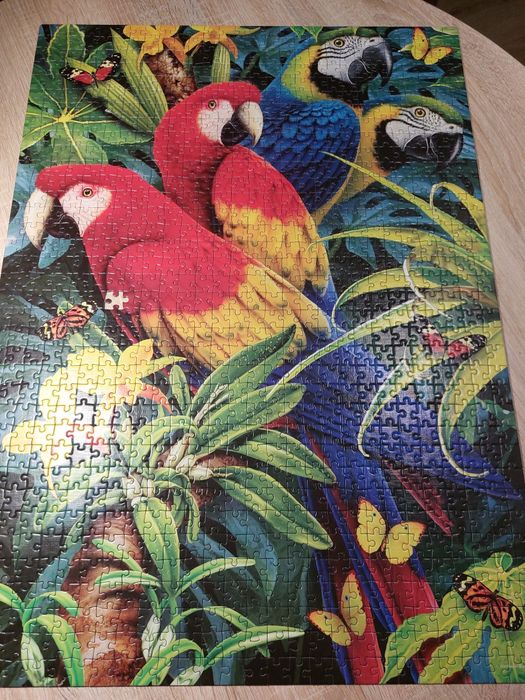 Puzzle 1000 magiczne 3d