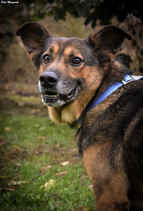 Szukamy spokojnego domku dla Nano ! !