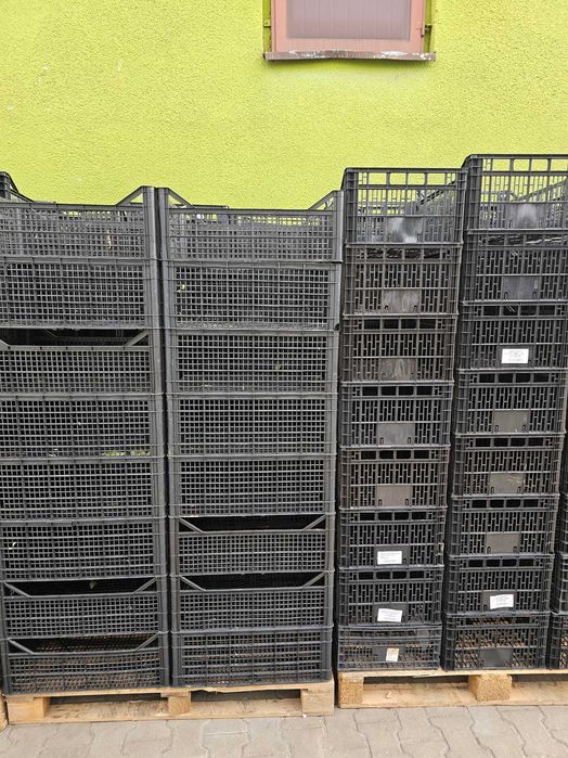 Skrzynki plastikowe okazja