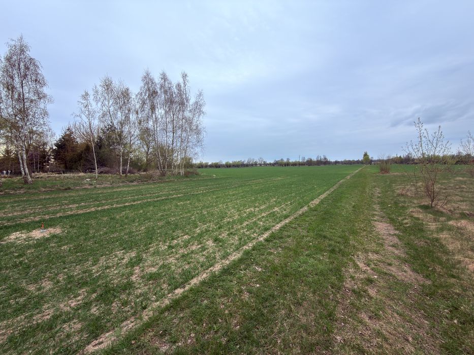 Działki 1000, 1000 oraz 1500 m2