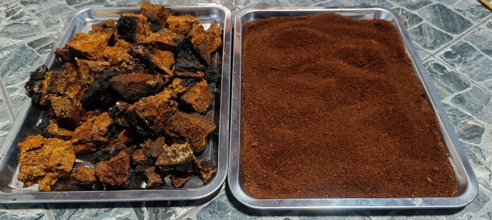 Czaga  200 g . Blyskoporek podkorowy suszony