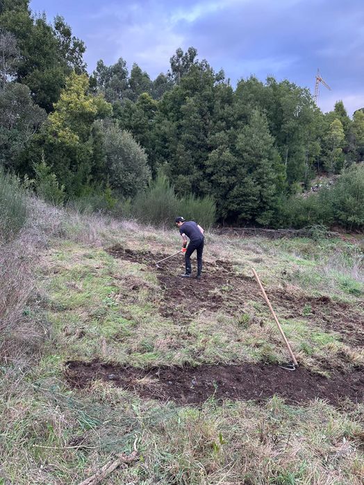 Manutenção de Jardim e Corte de Relva — Porto e Arredores — Orçamento Grátis