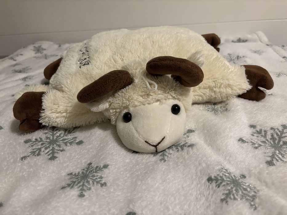 Baranek Owca Owieczka Zakopane